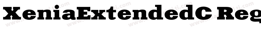 XeniaExtendedC Regul字体转换